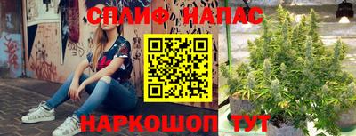 молекула духа Кулебаки