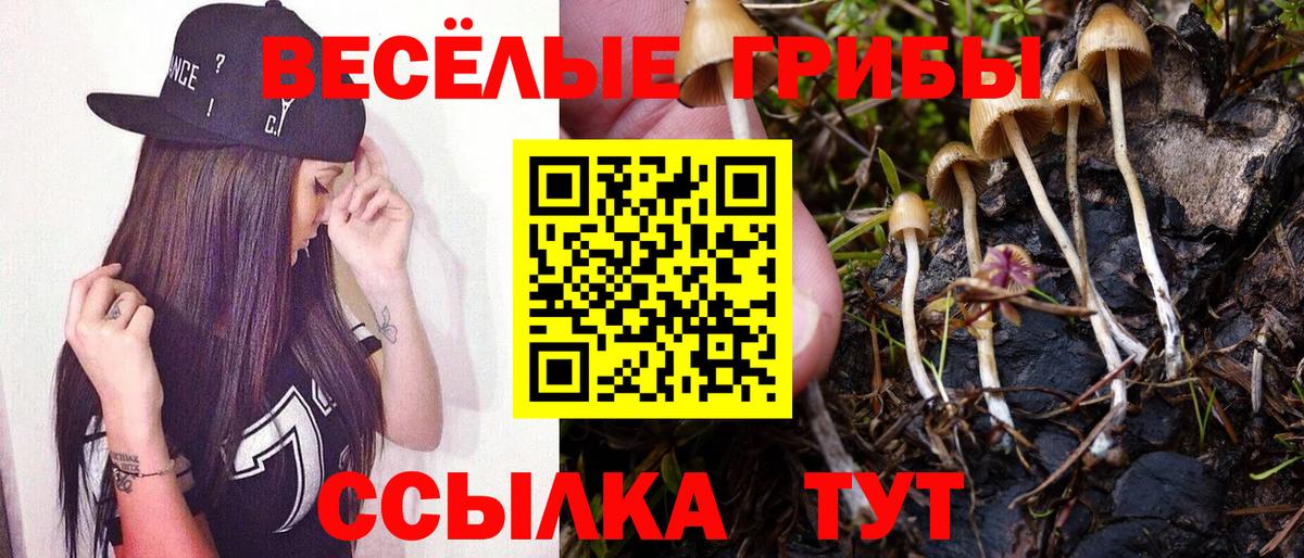 Псилоцибиновые грибы мухоморы Зима